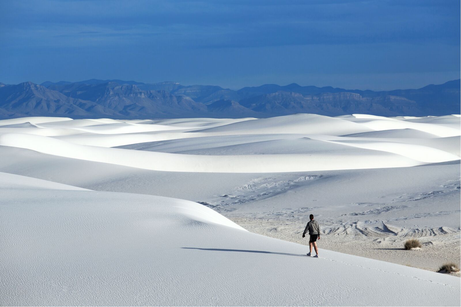 hiking in white sands national park 