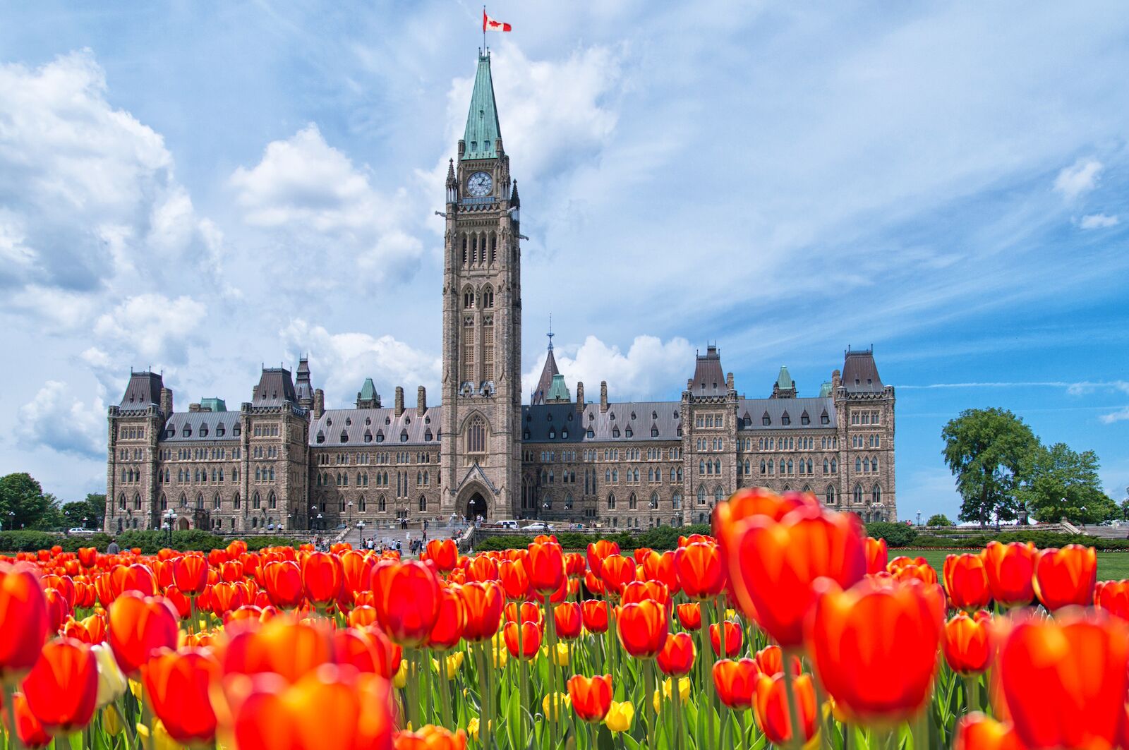 bright bed of tulips in front of the Canadian Parliament in Ottawa Canada for the Canadian Tulip Festival