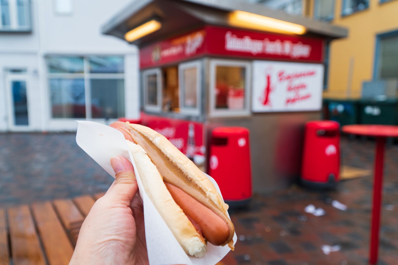 Person holding a hot dog in front of a hot dog stand in Iceland. Do you know how to say "I want a hot dog with everything on it" in Icelandic?