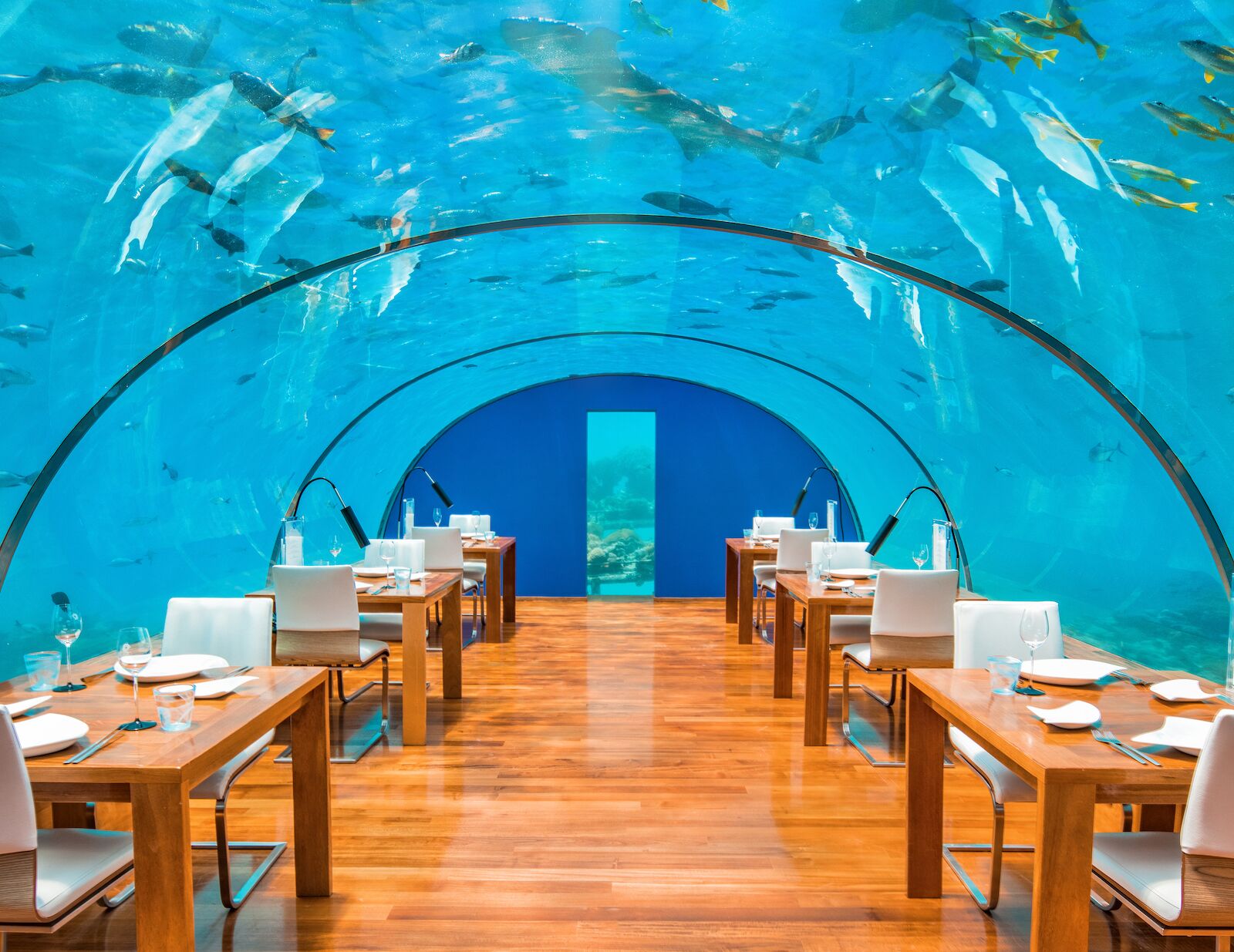Ithaa Undersea Restaurant_Extreme restaurants