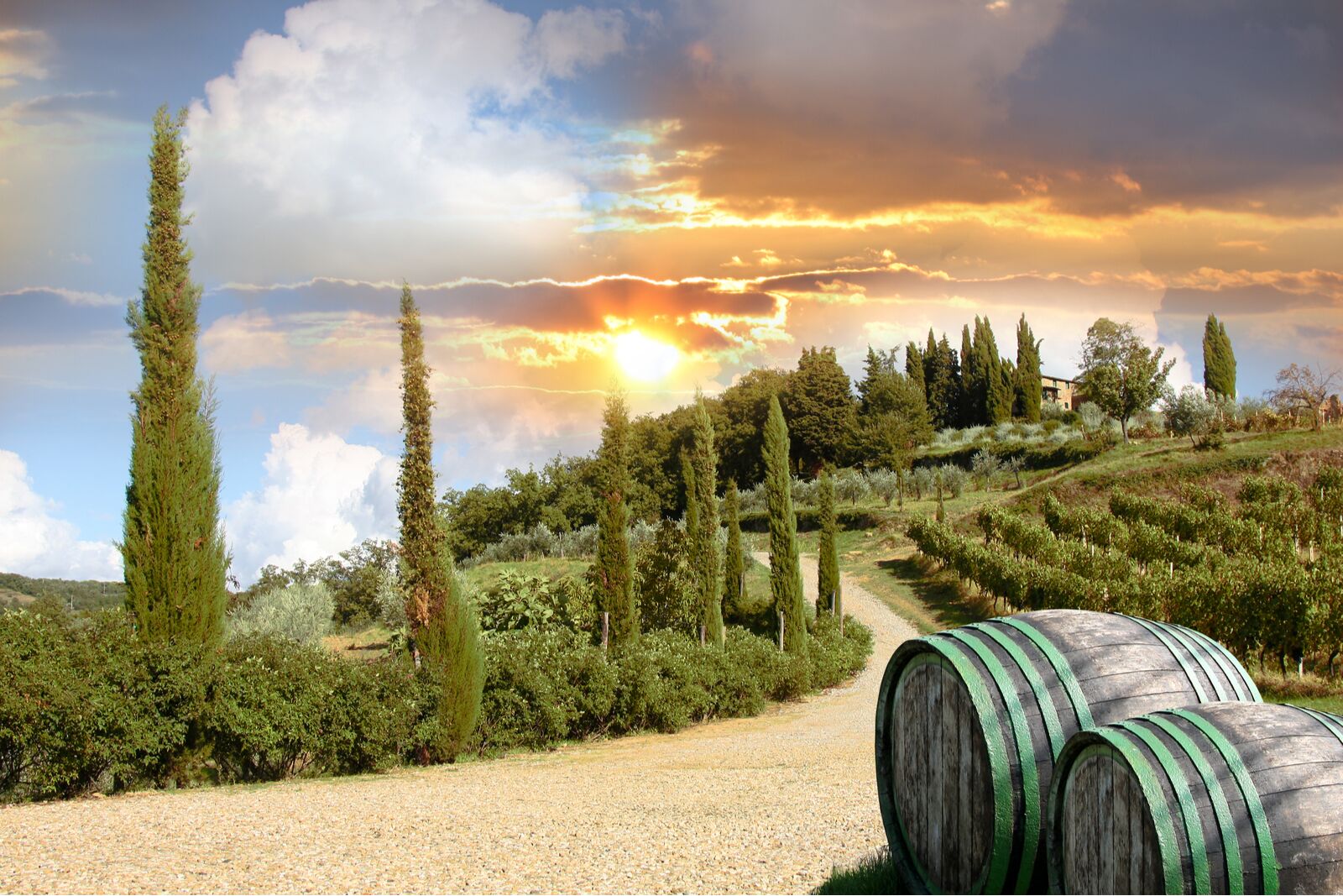 Italy wine tour - one day through chianti region