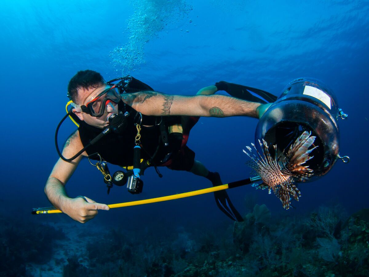 A Beginner's Guide to Lionfish Hunting in Florida