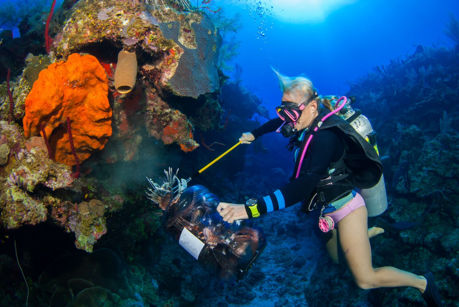 female scuba diver underwater lionfish hunting