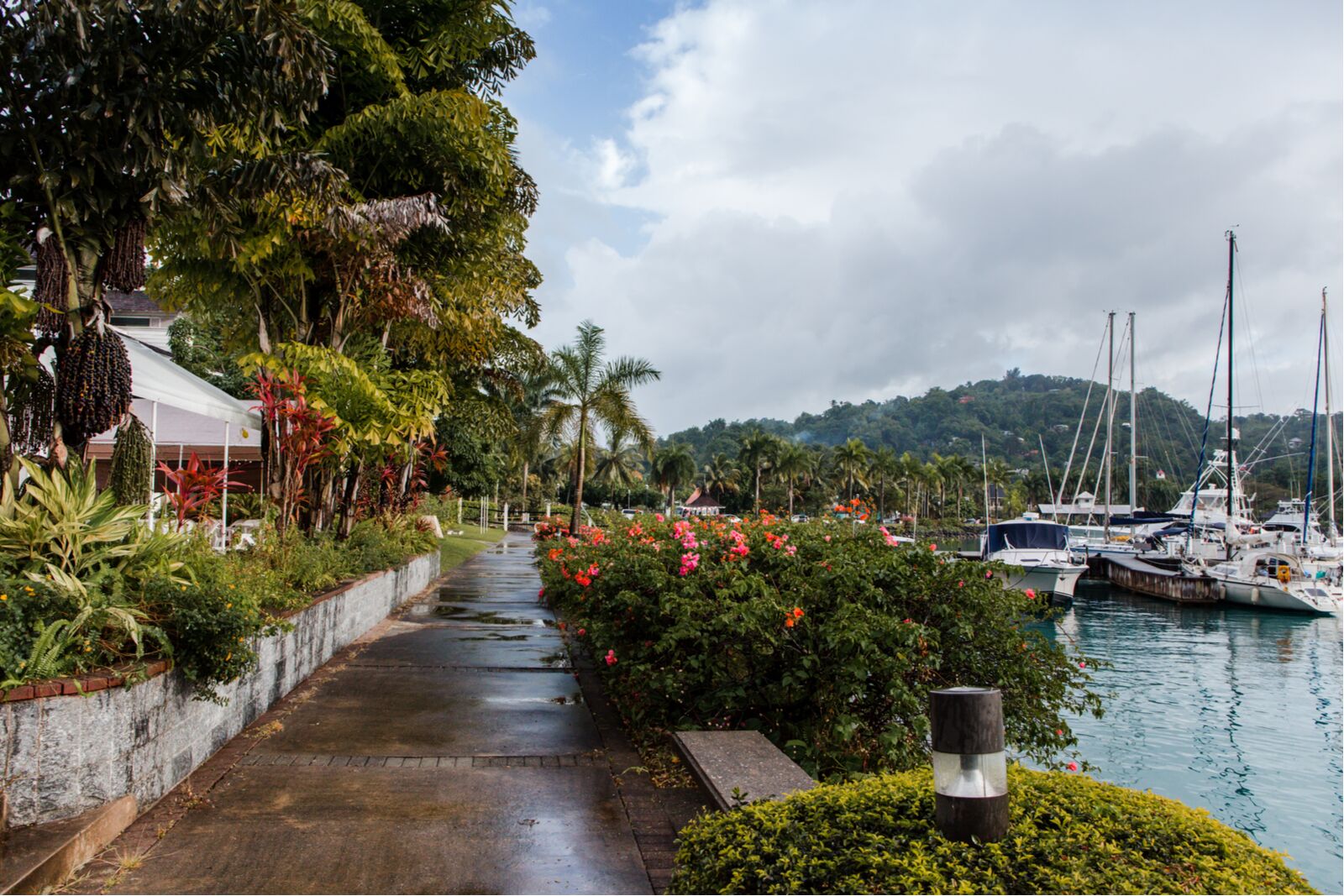 view of walkway and yachts parked in water