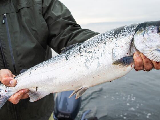 The 8 Best Rivers in Washington State for Salmon Fishing