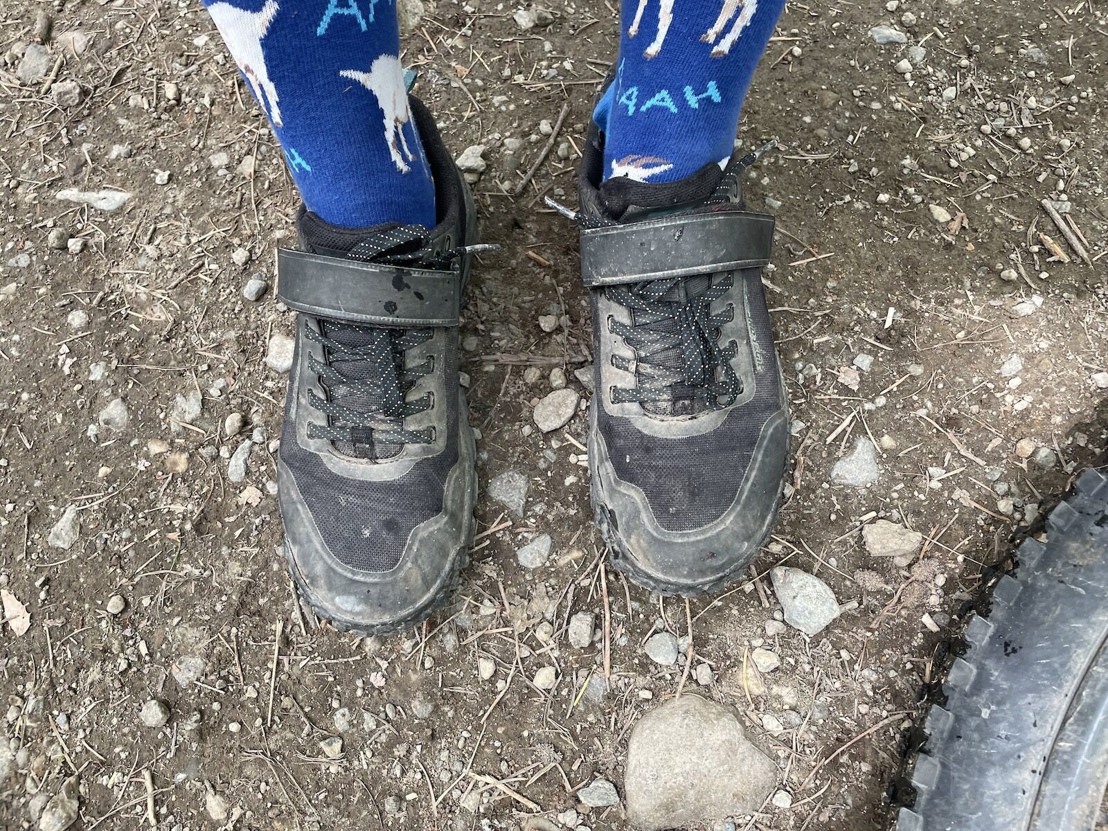 women's mountain bike shoes - ride concepts