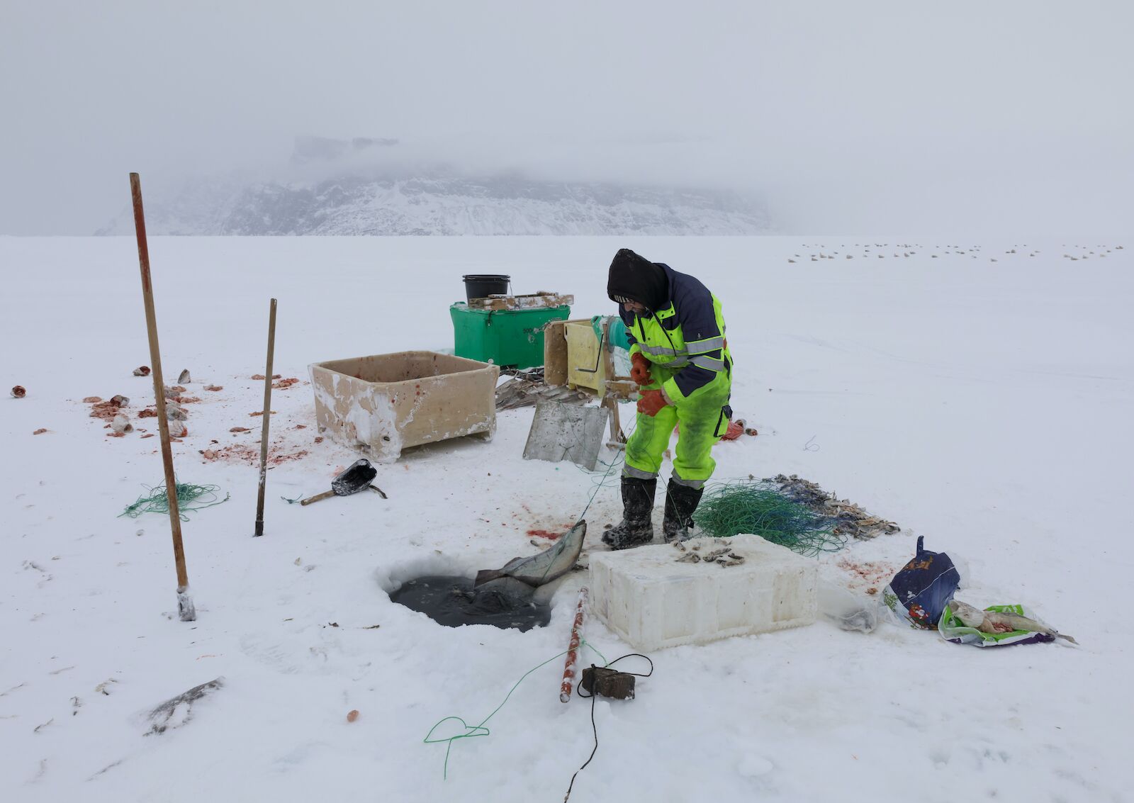 Ice Fishing near Uummannaq