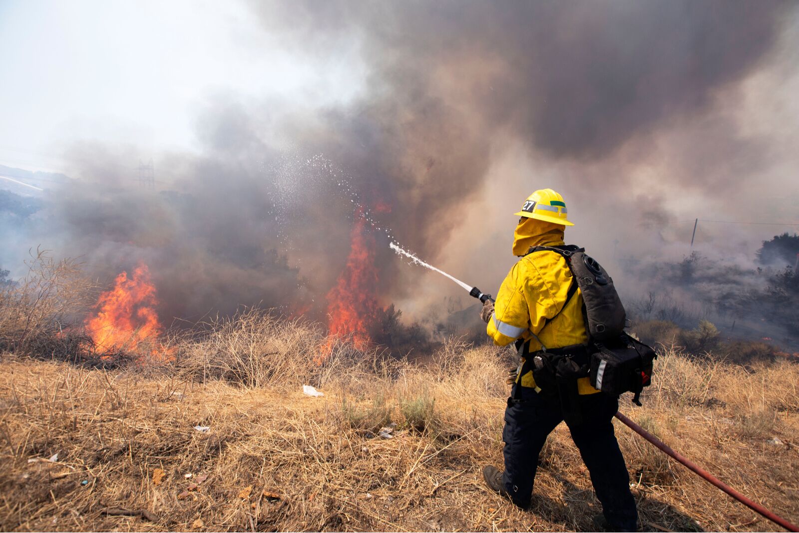 hiking robots could help fight wildfires