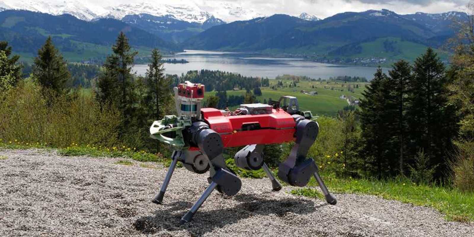 The anymal hiking robot in the wild 