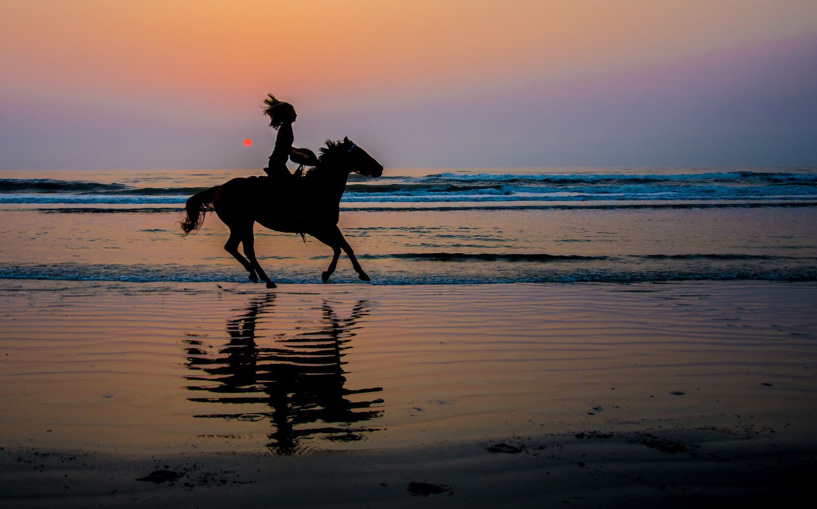 Silhouette of a girl on a horse running on the wet sand of a Florida beach in the morning sun