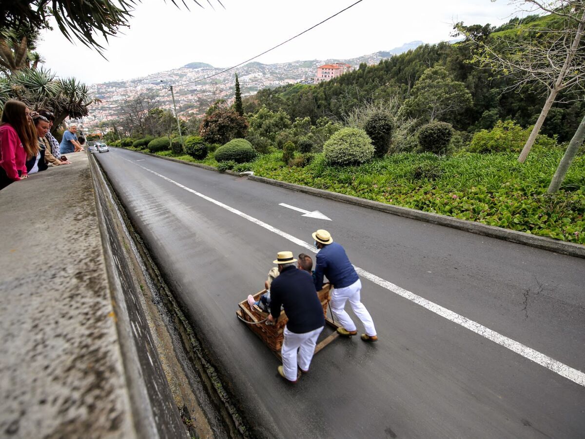 This Wild Madeira Toboggans TikTok Makes Us Want to Book a Flight ASAP