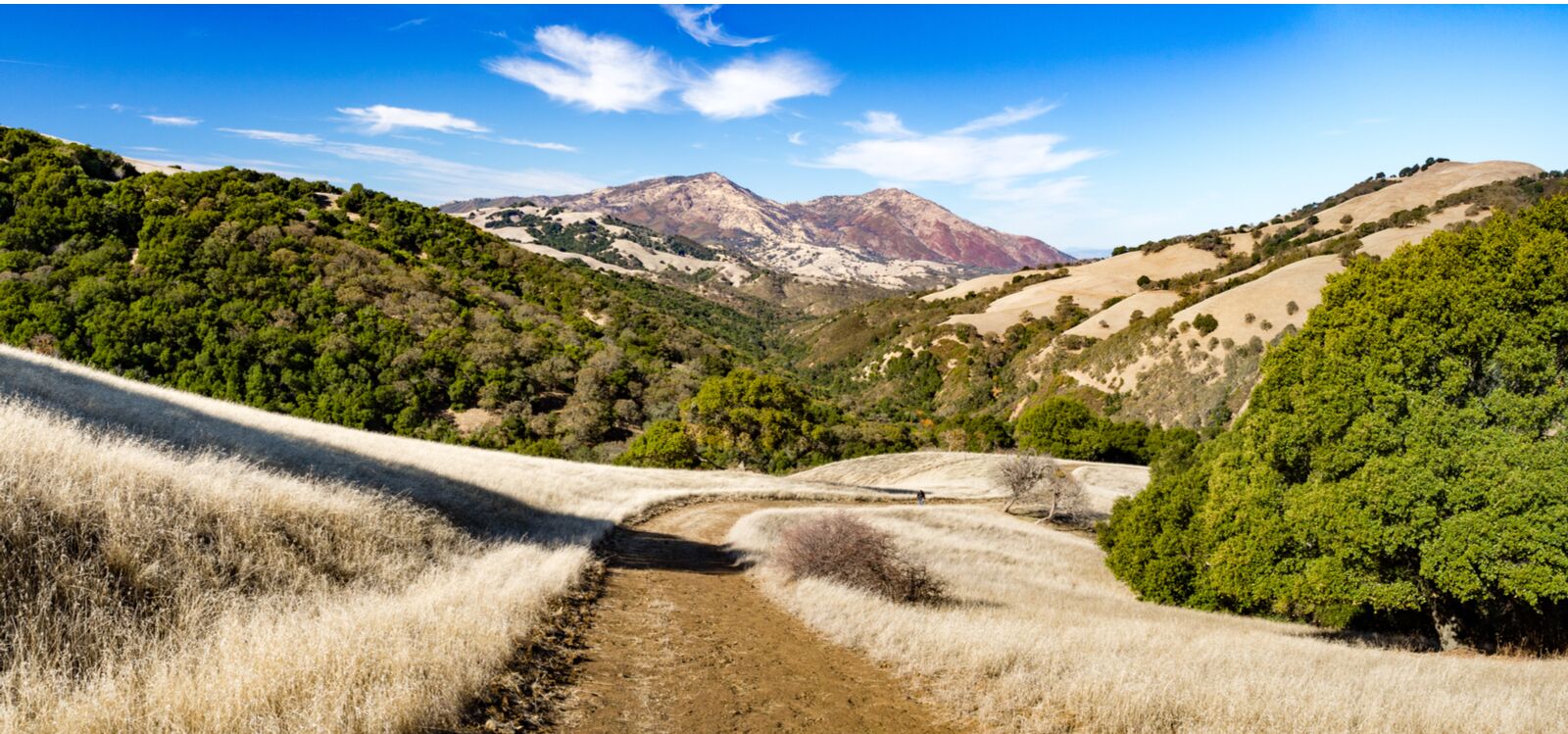 mount diablo best california state parks