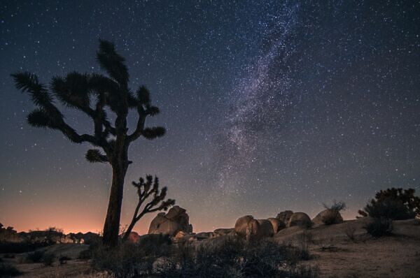 SKYGLOW Captures Joshua Tree's Night Sky Without Light Pollution