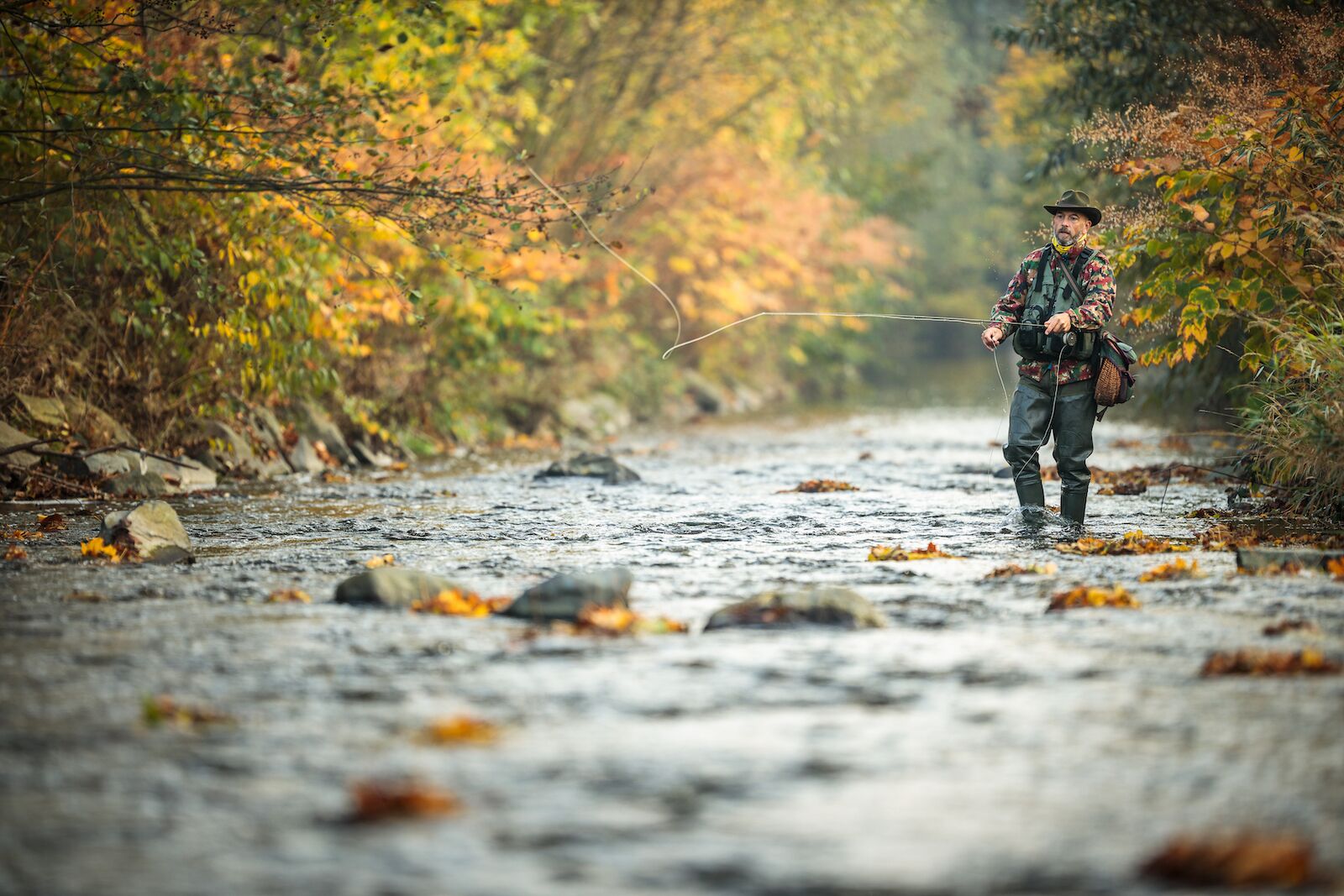 the-5-best-spots-for-trout-fishing-in-colorado-s-gold-medal-rivers