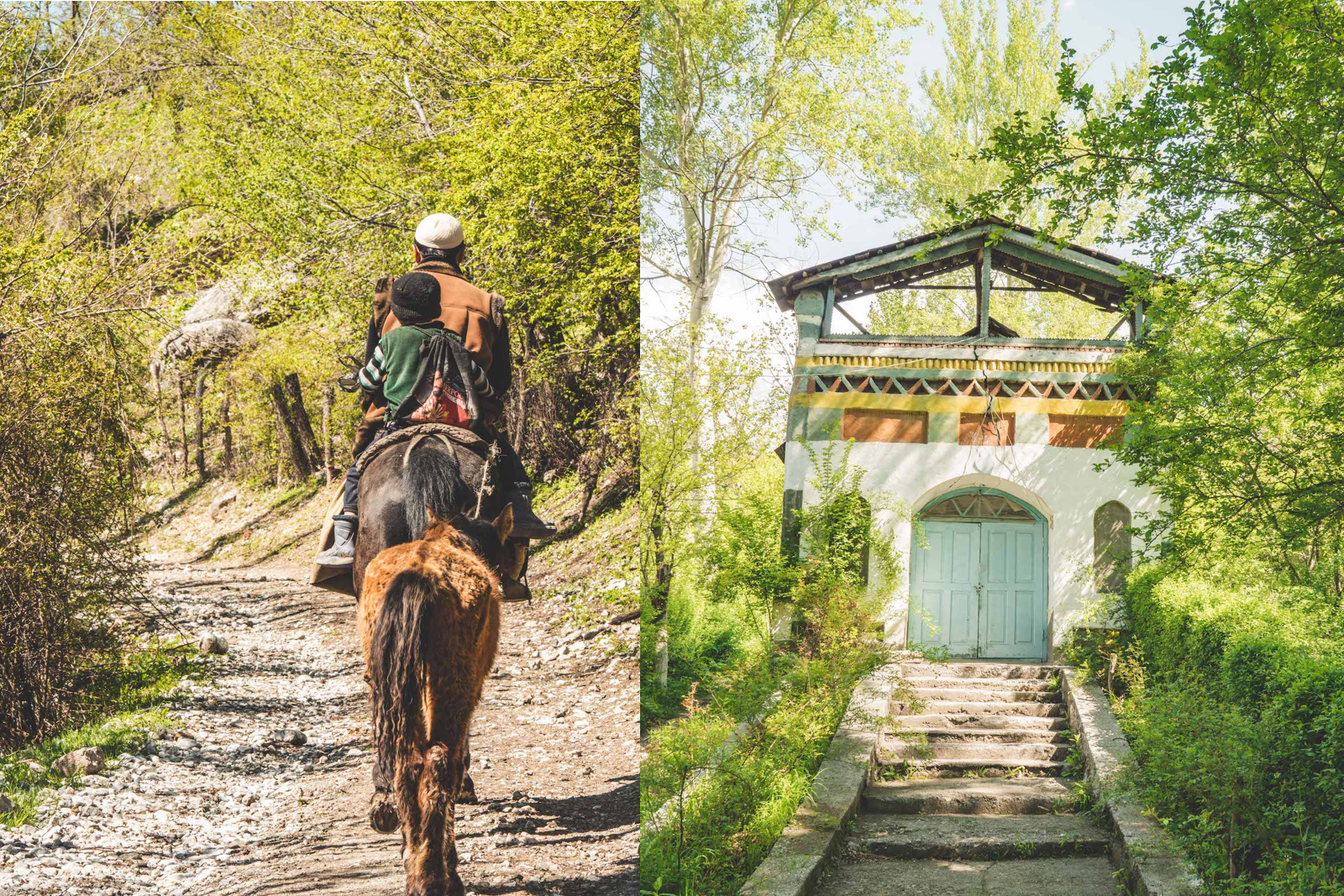 world's largest walnut forest temple and horseback rider