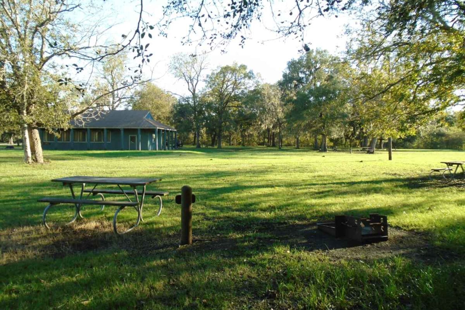 Brazos Bend State Park, one of the best spots for camping in Houston 