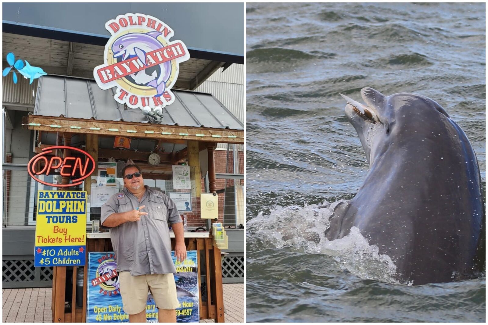 Man and dolphin at Baywatch Dolphin Galveston tours