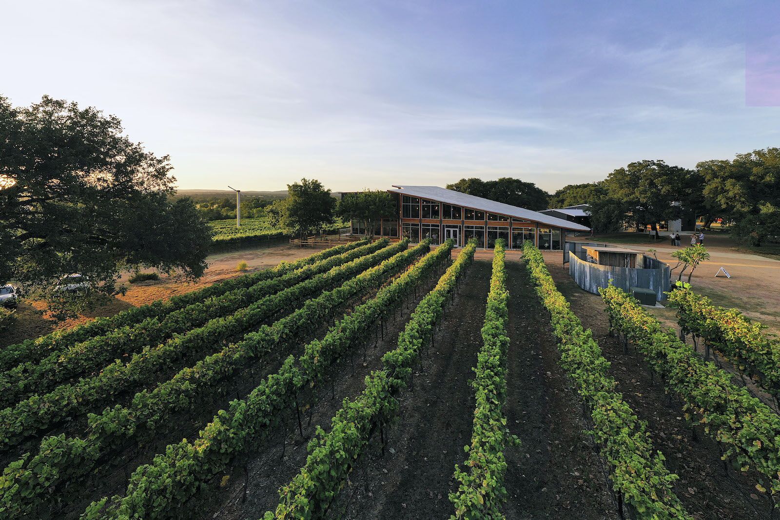 6 Vineyards And Wineries That Make Texas Hill Country A Must-Visit Wine ...