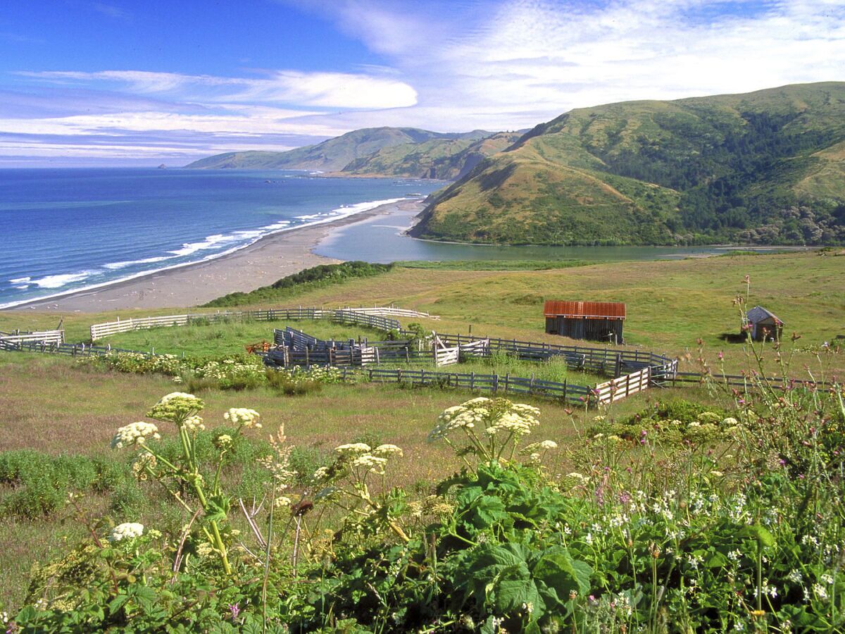 10 West Coast BLM Camping Sites With Fees Under 15   Blm Camping California Lost Coast 1200x900 