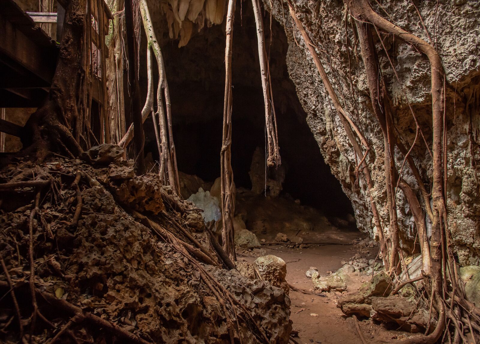 caves in puerto rico - wind cave