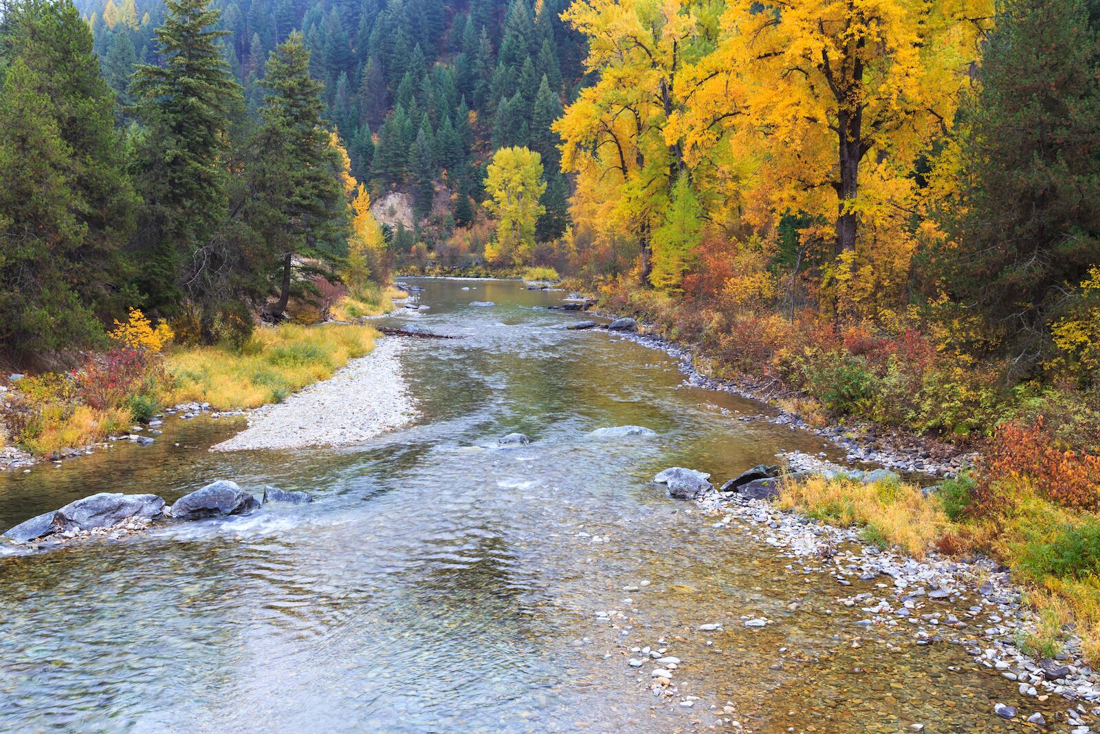  montana autumn river