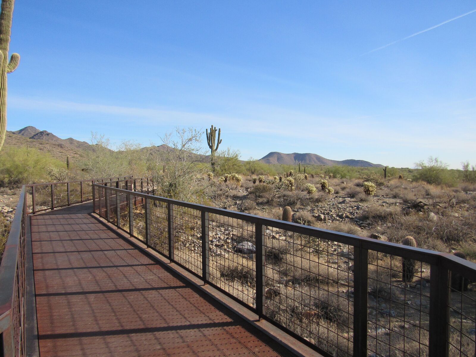 Metal walkway in the desert, McDowell Sonoran Preserve
