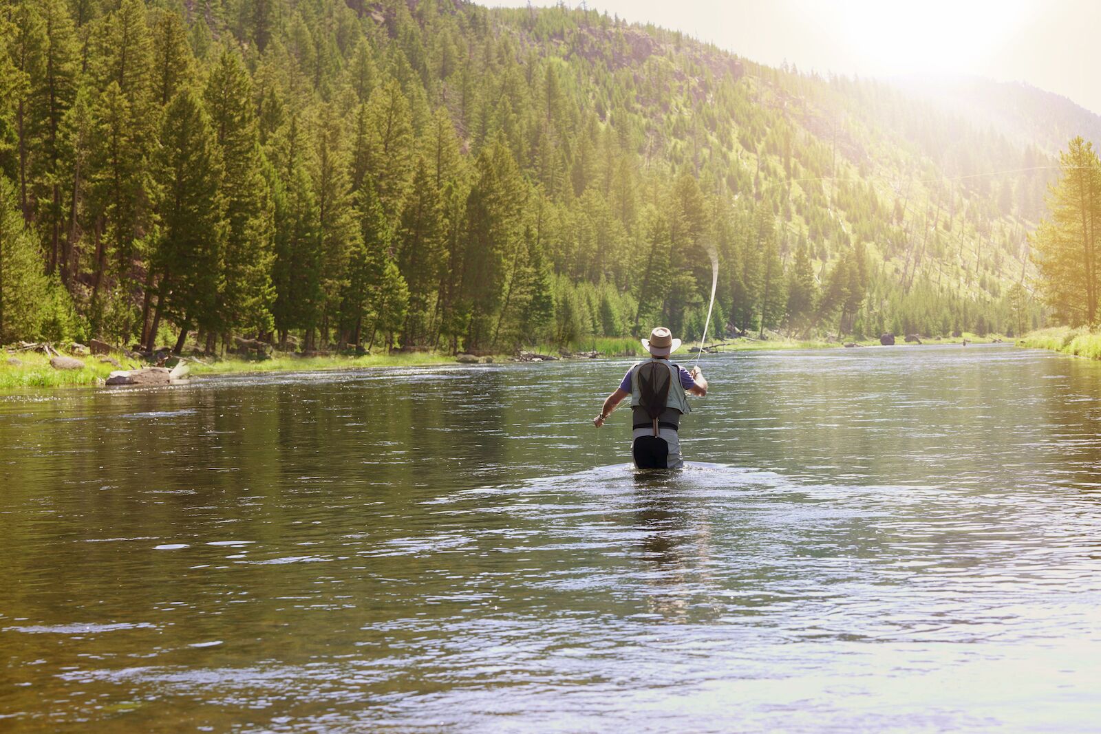 The Best Rivers For Fly Fishing In Montana Laptrinhx News