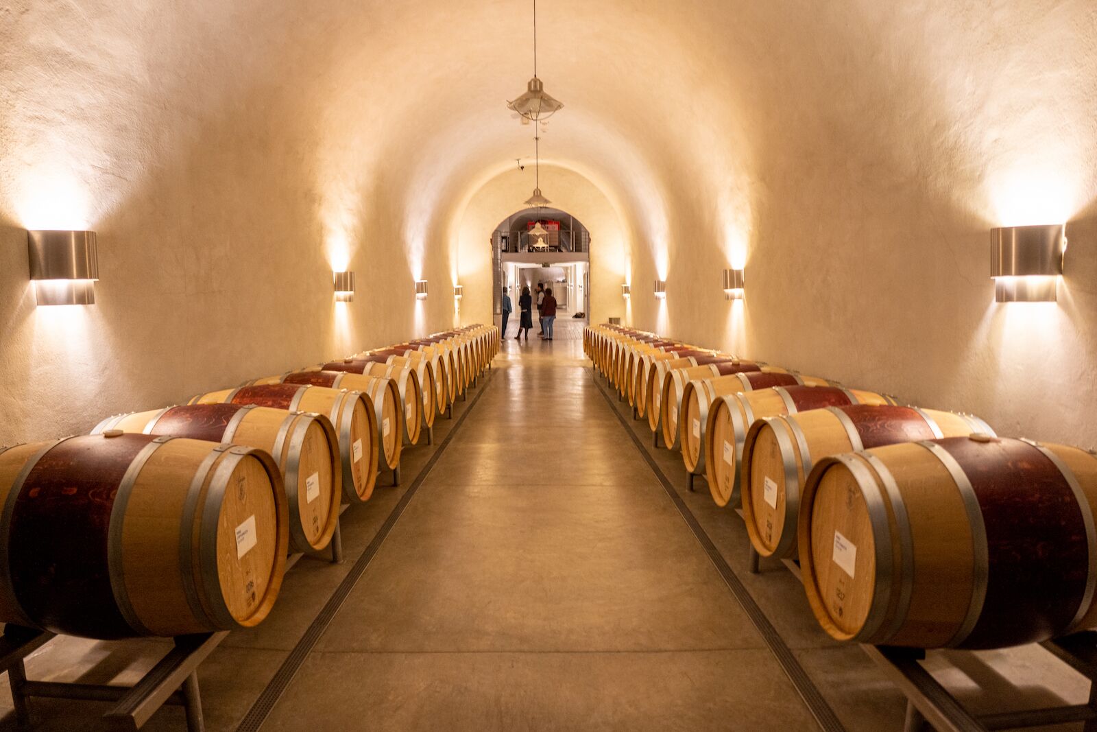 palmaz vineyard-wine caves