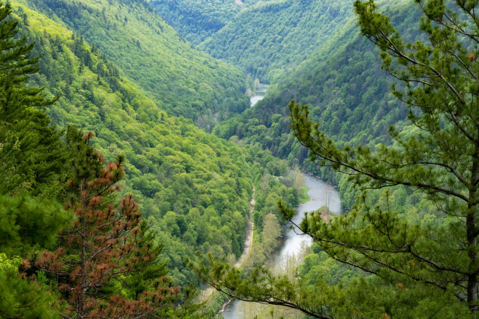 beautiful places in pennsylvania gorge