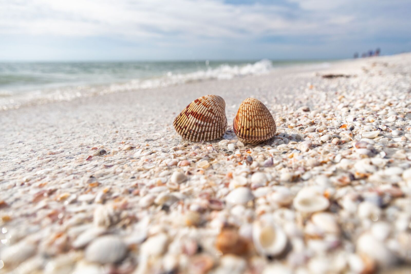Shelling on Sanibel is one of the best things to do near Fort Myers
