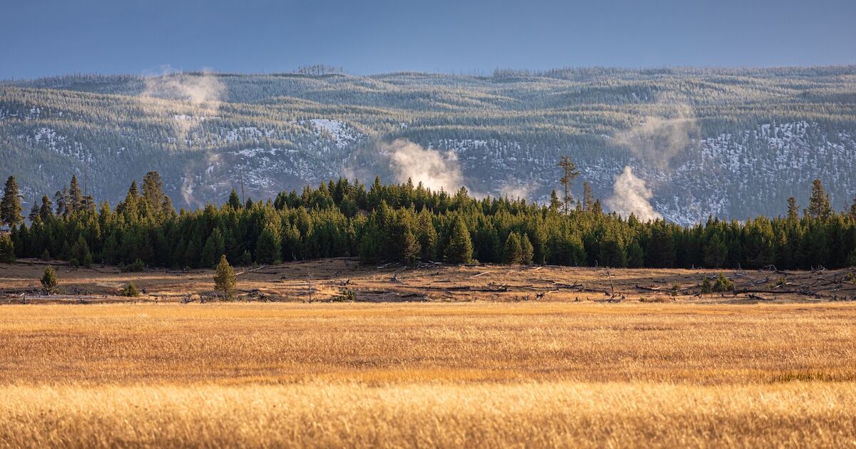 Yellowstone's Zone of Death Has a Loophole for Murder