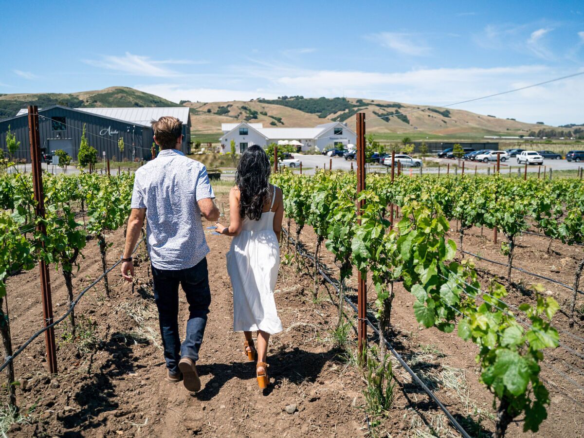 The 7 Best Sonoma Tasting Rooms For Your Next Wine Trip