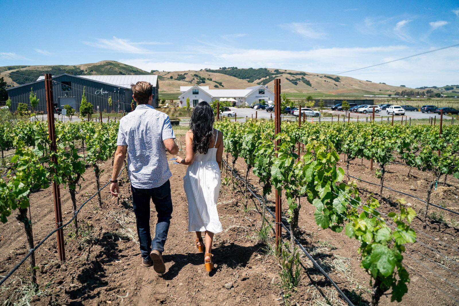 Couple walking through the vineyards at Anaba Wines