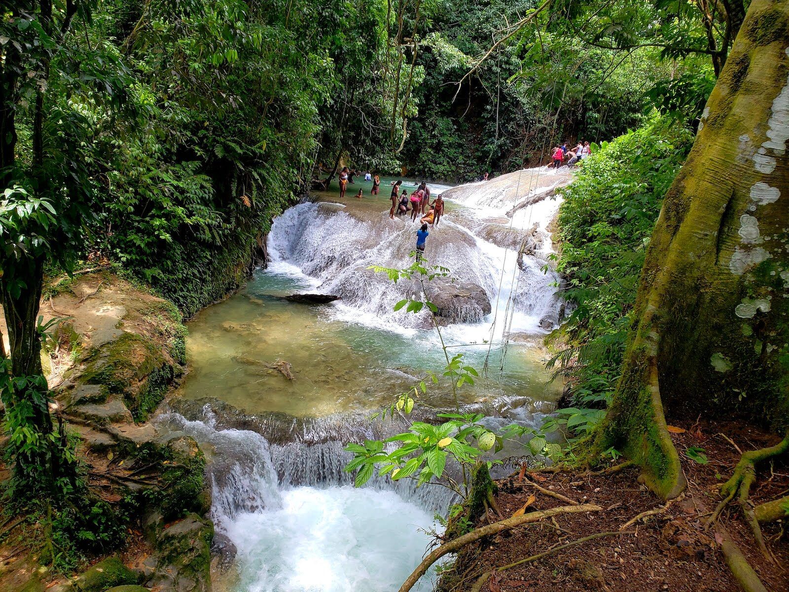 Benta falls jamaica
