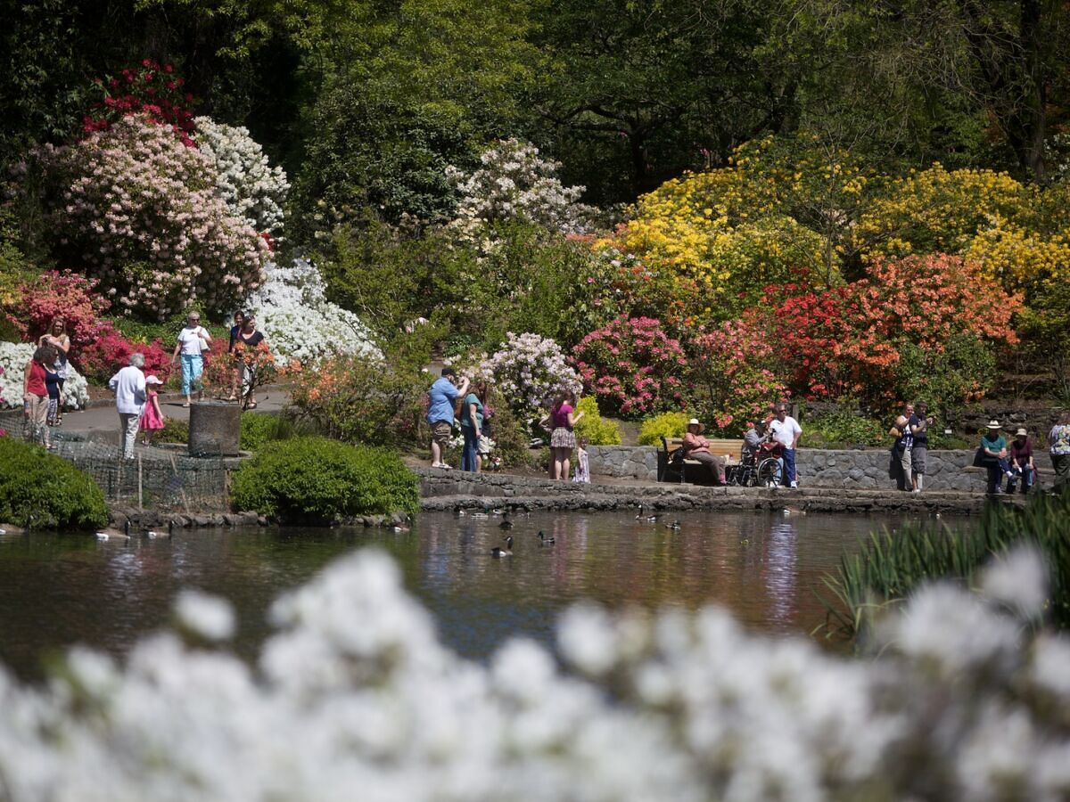 7 Portland Gardens to See Roses and Other Plants and Flowers