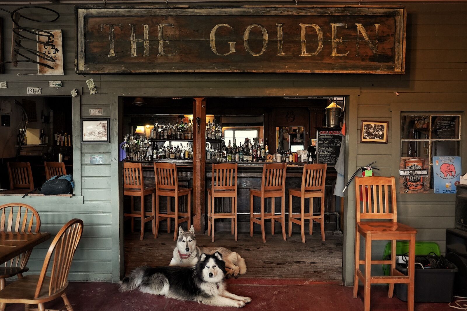 mccarthy alaska the golden dogs