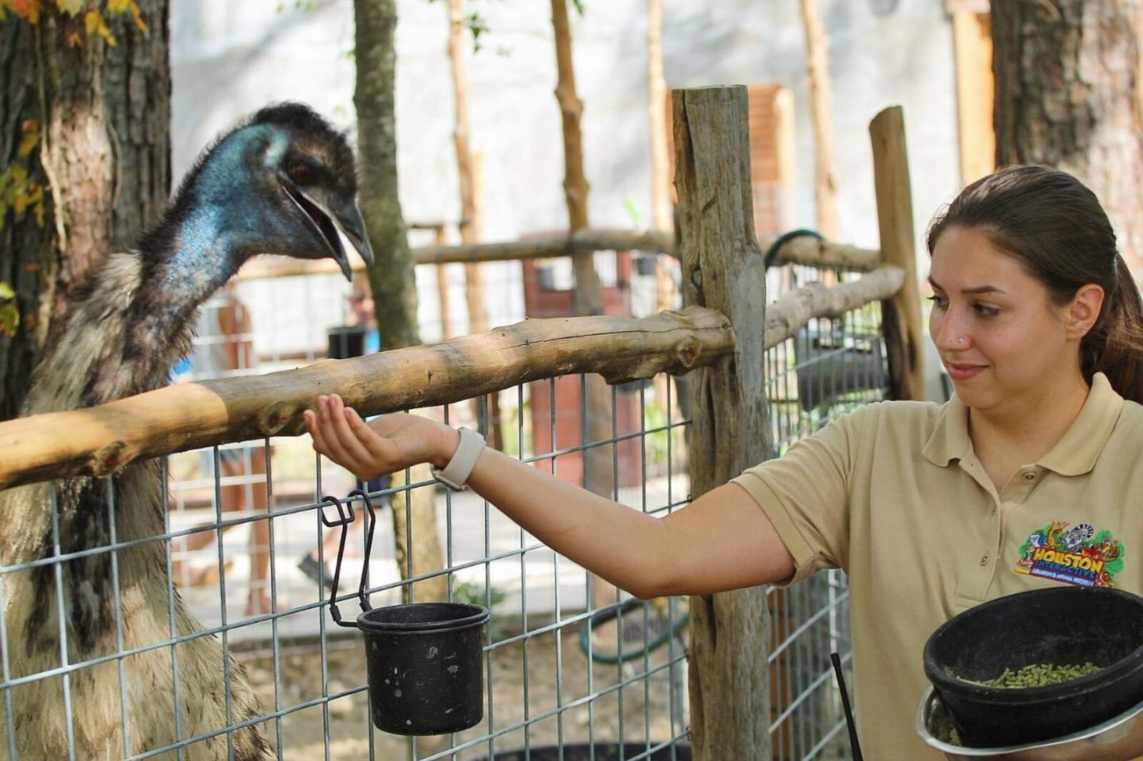 Staff feeding emu at Man with bird at Houston Interactive Aquarium