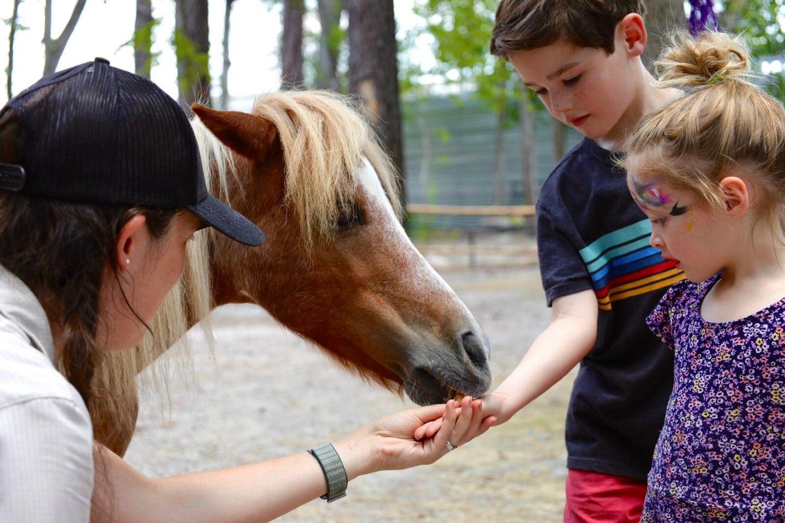 Kid feeling horse at Man with bird at Houston Interactive Aquarium