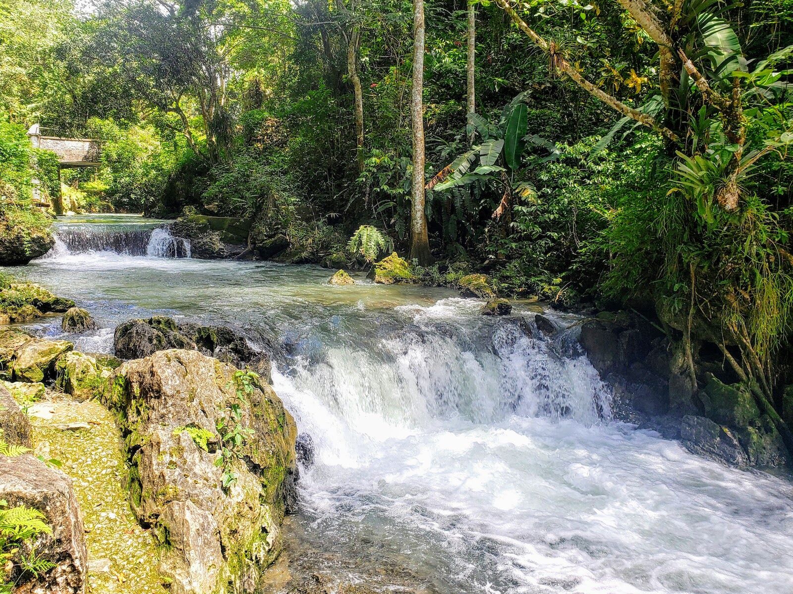 waterfalls in jamaica - noisy river falls
