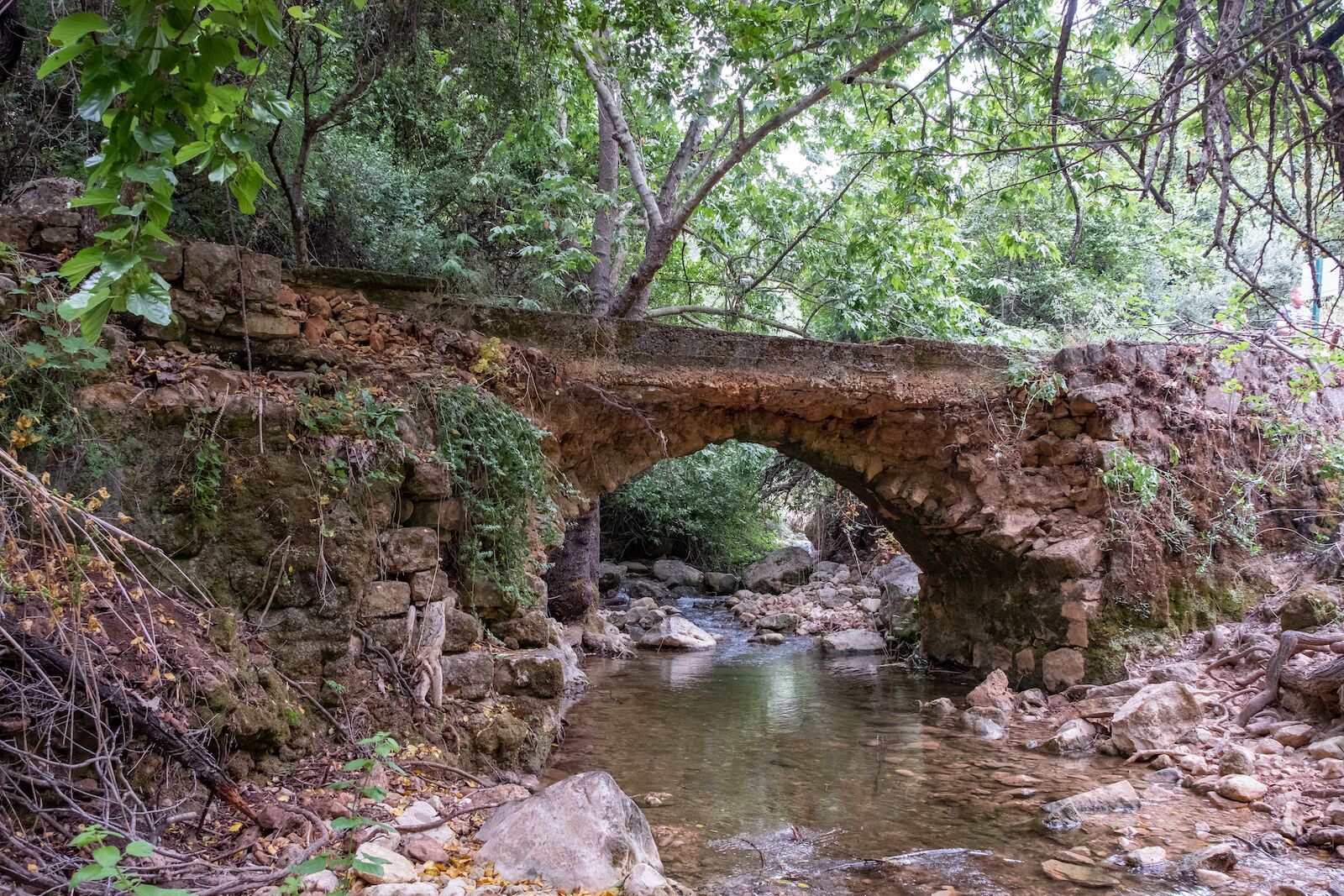 An antique bridge above Amud stream in the nature reserve Wadi Amud. The murmur of water and silence in the early morning in the natural reserve.