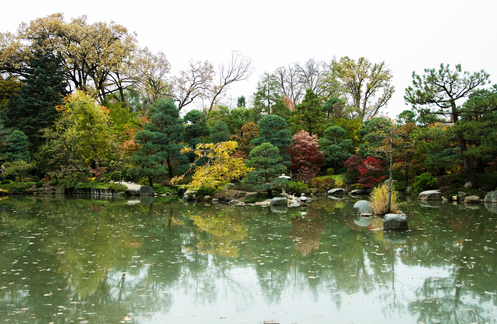 Beautiful pond Anderson Japanese Garden fall colors