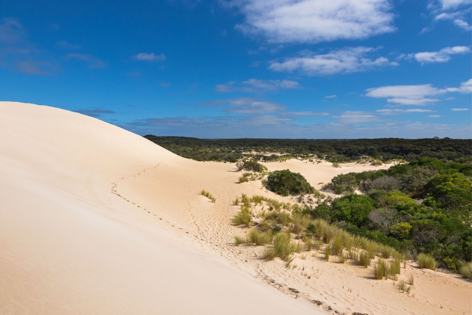 kangaroo island dunes 