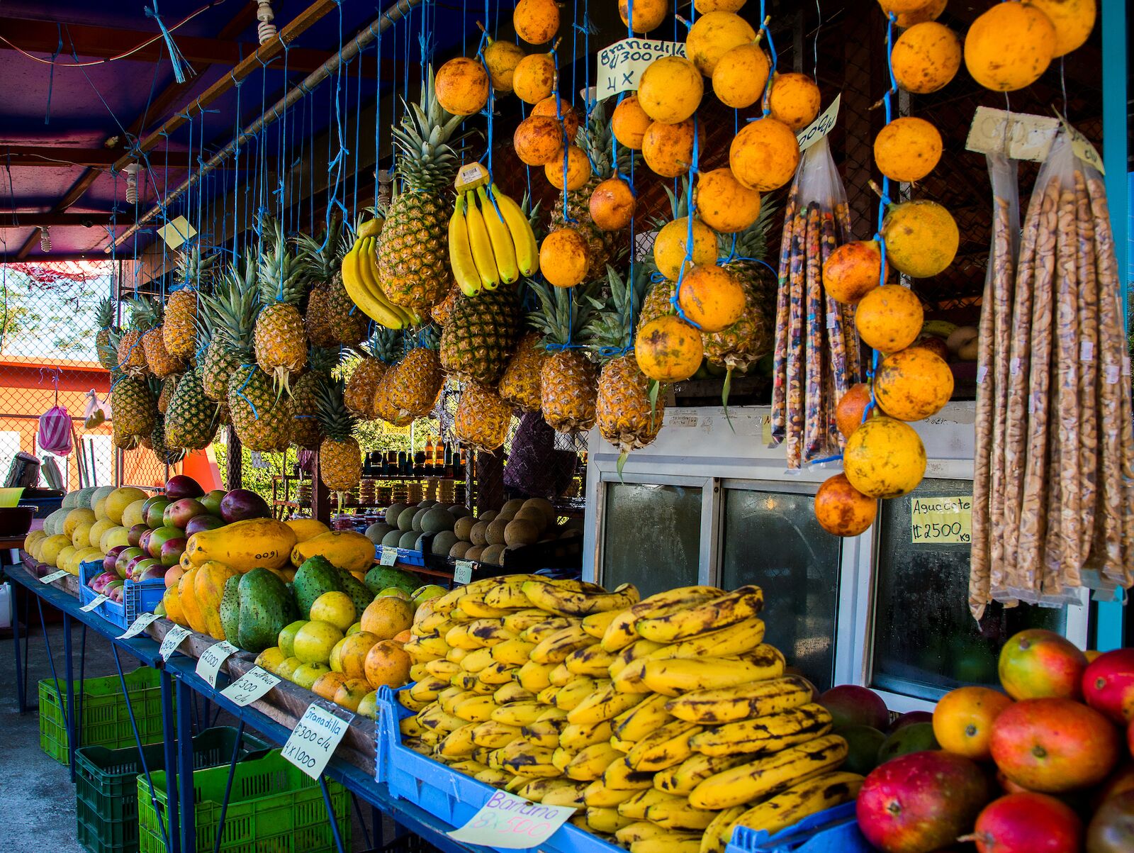 Market stall with fresh fruit in Costa Rica. Read on to know when is the best time to visit Costa Rica and eat fresh fruit