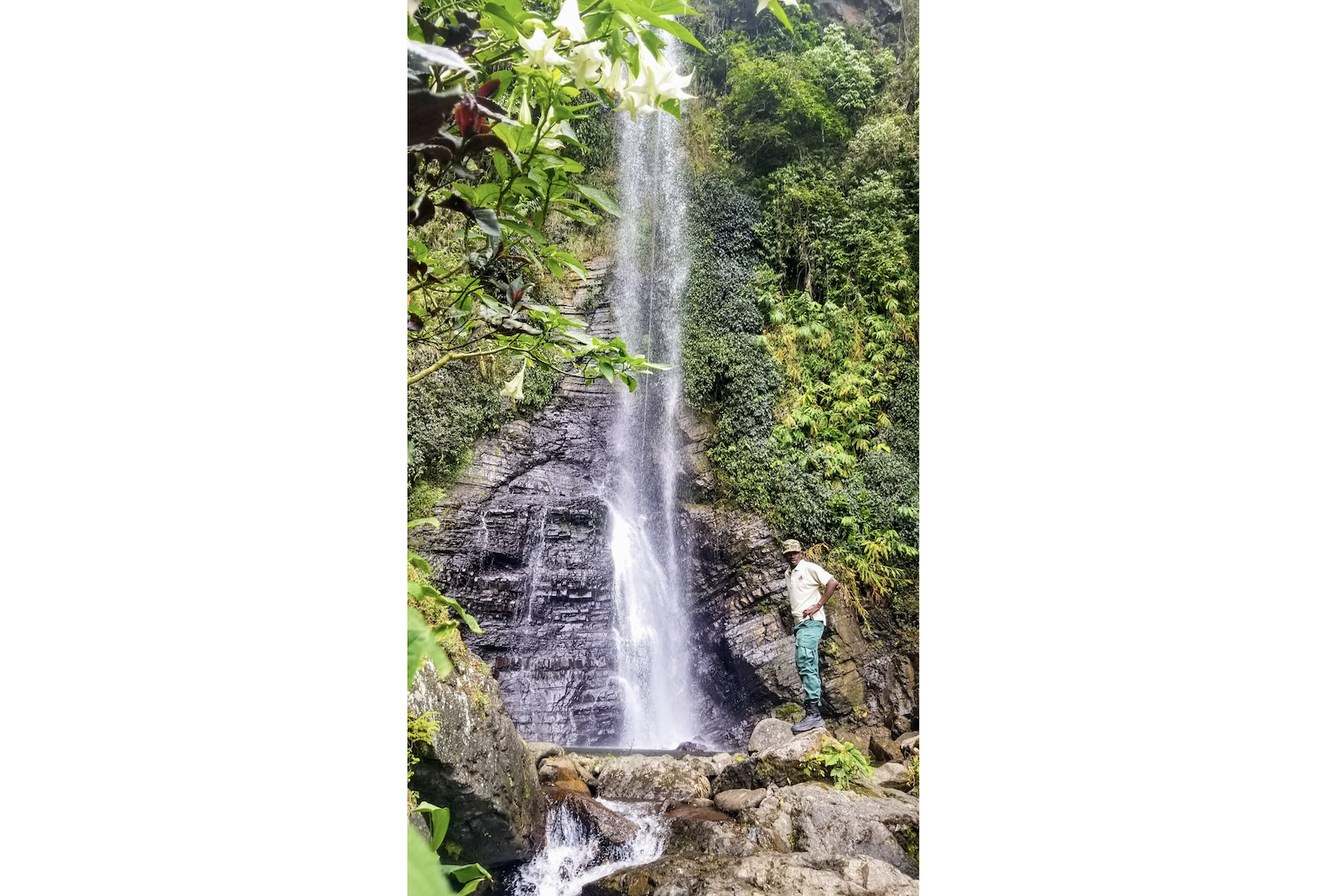cascade falls jamaica
