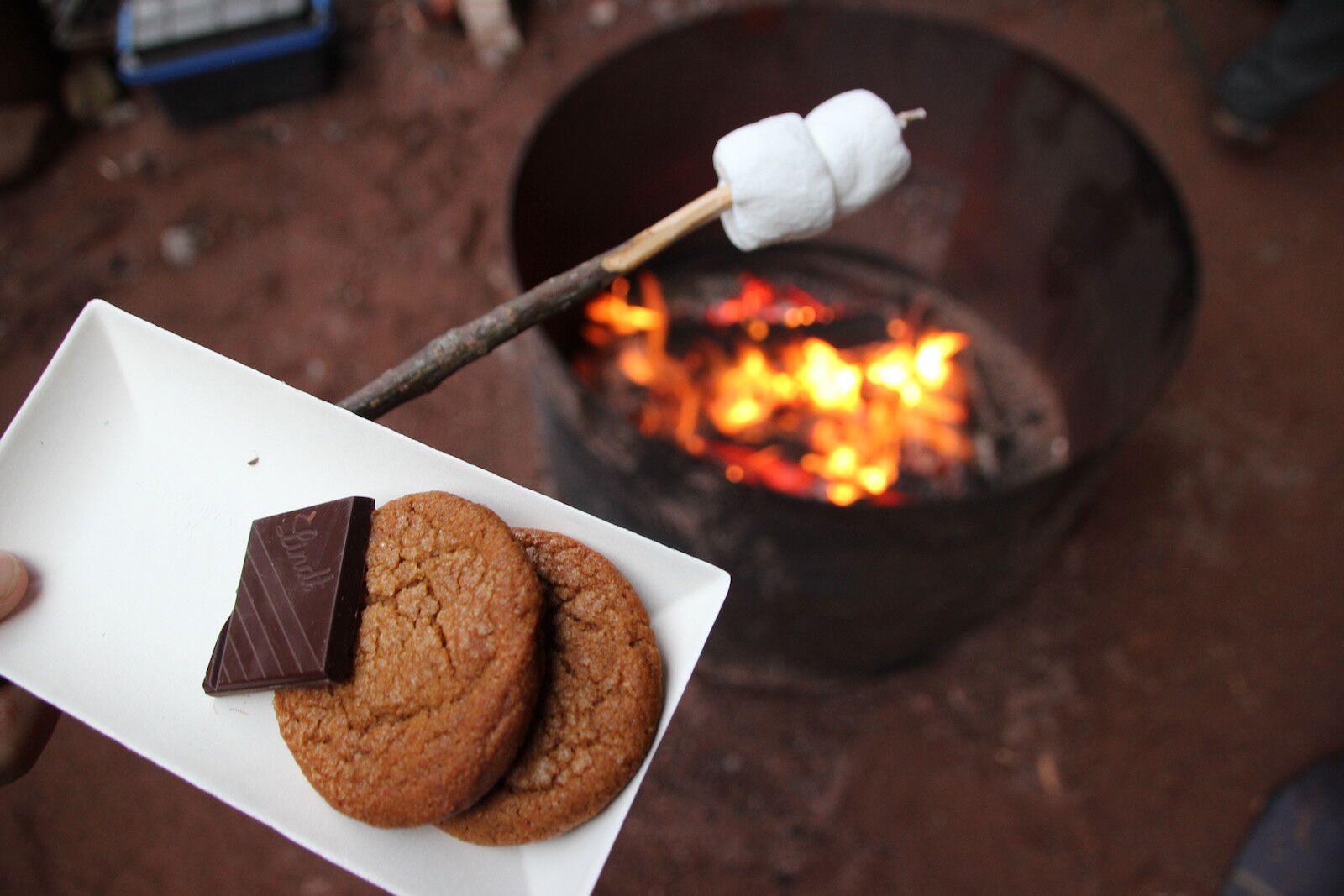 ginger snaps and chocolate on plate with marshmallows on a stick over open fire - savour the sea caves