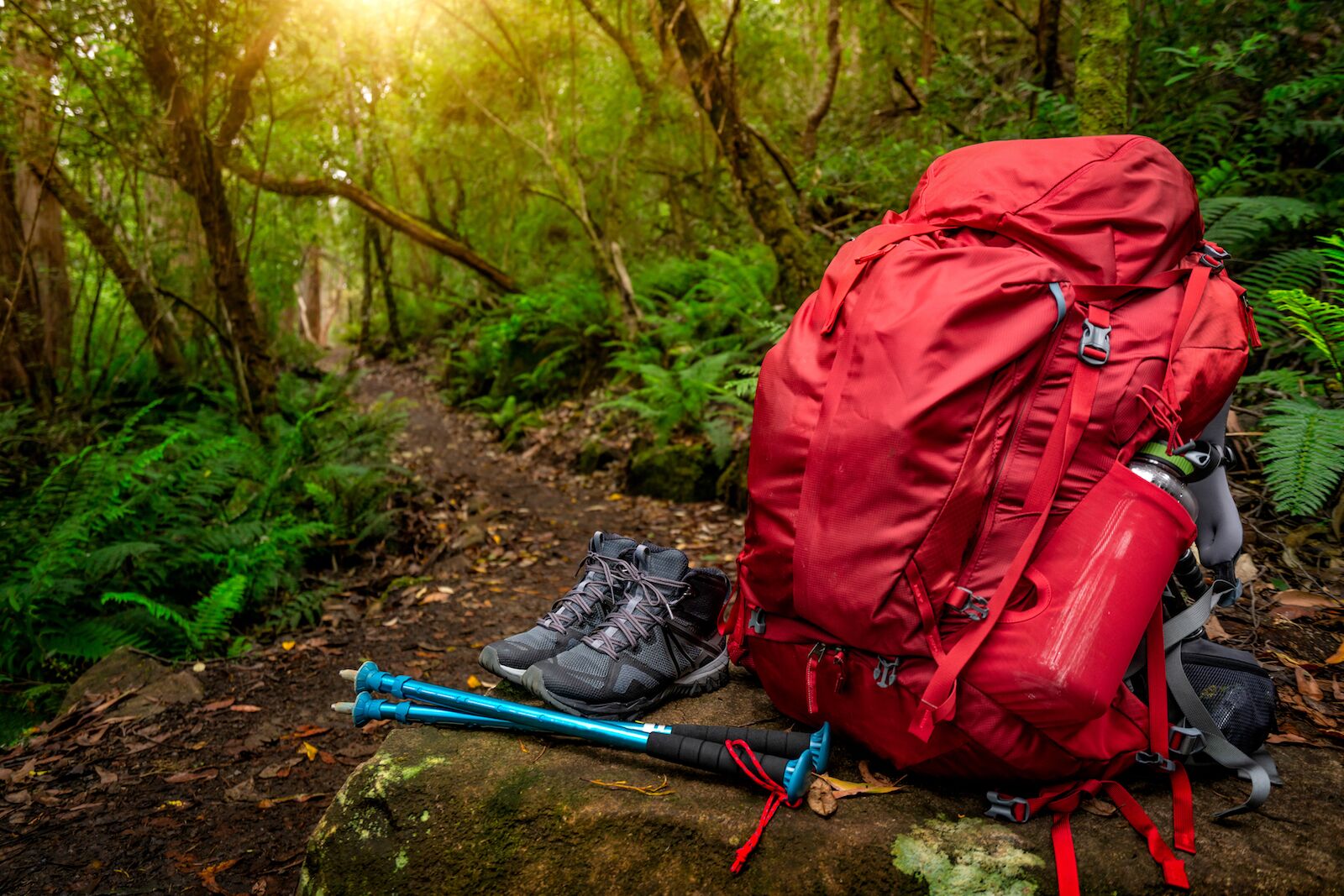hiking for beginners new gear 