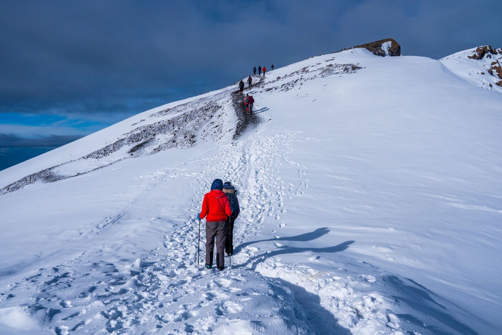 Mount kilimanjaro wifi hikers in snow