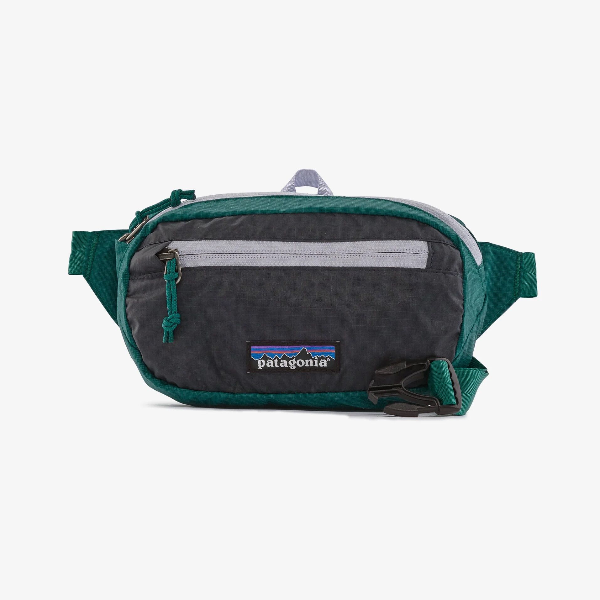 Patagonia fanny hotsell pack amazon