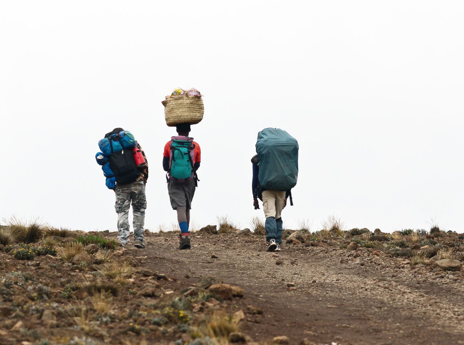 mount Kilimanjaro wifi - tourist porters