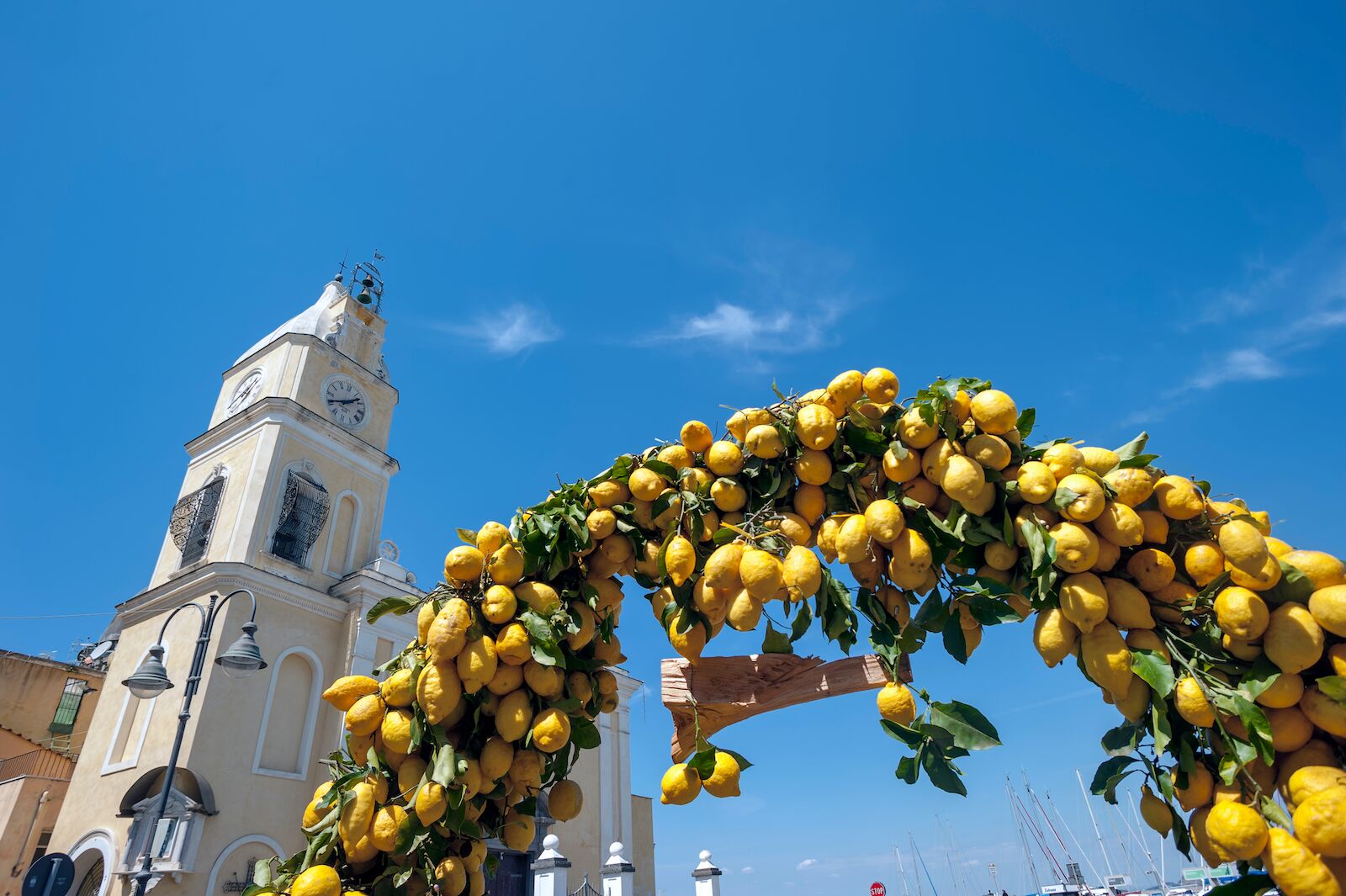 procida-italy-procida-lemons growing in archway near church